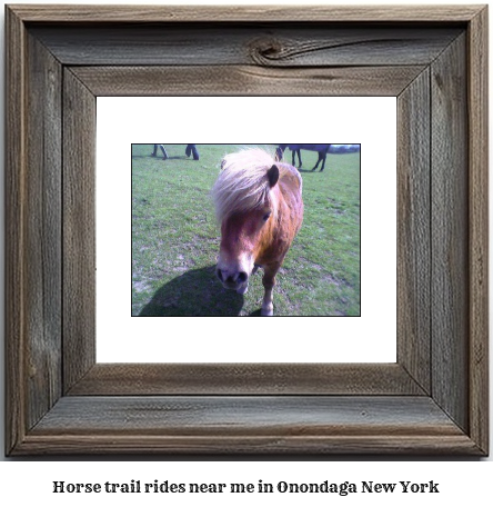 horse trail rides near me in Onondaga, New York